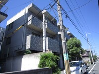 セルバ山本