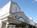 関西スーパー日下店(スーパー)まで650m ヴィラ　ハーツデール