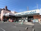 万代石切店(スーパー)まで250m ヴィラ　ハーツデール
