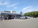 ローソン 尼崎上ノ島店(コンビニ)まで210m メゾンフィルブロード
