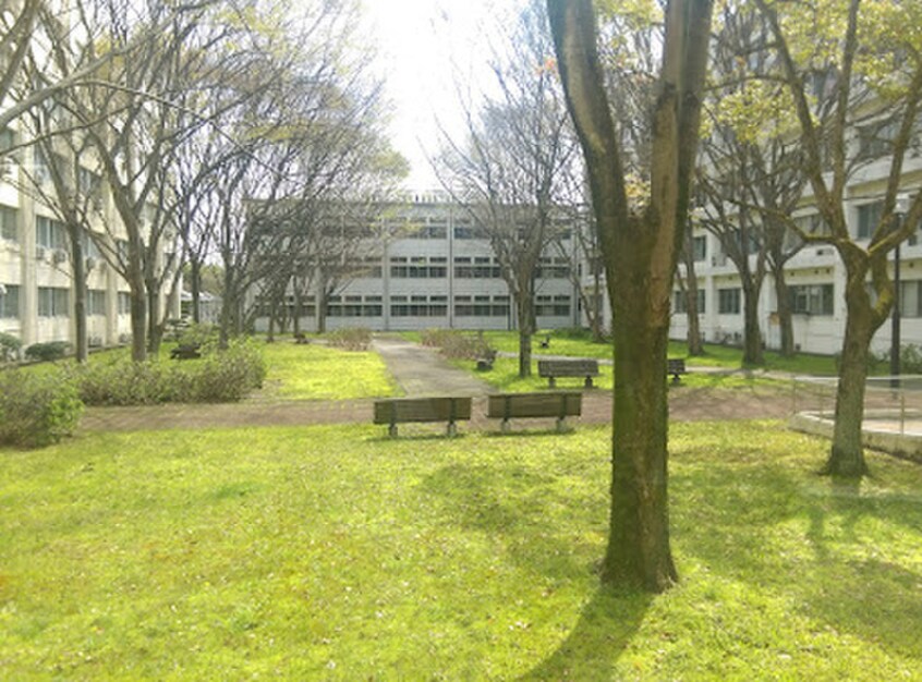 滋賀大学 大津キャンパス(大学/短大/専門学校)まで500m エミヤスコーポ