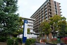 大阪医科薬科大学病院(病院)まで800m 高槻ガーデンヒルズ