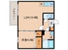 ベルビュー 1LDKの間取り