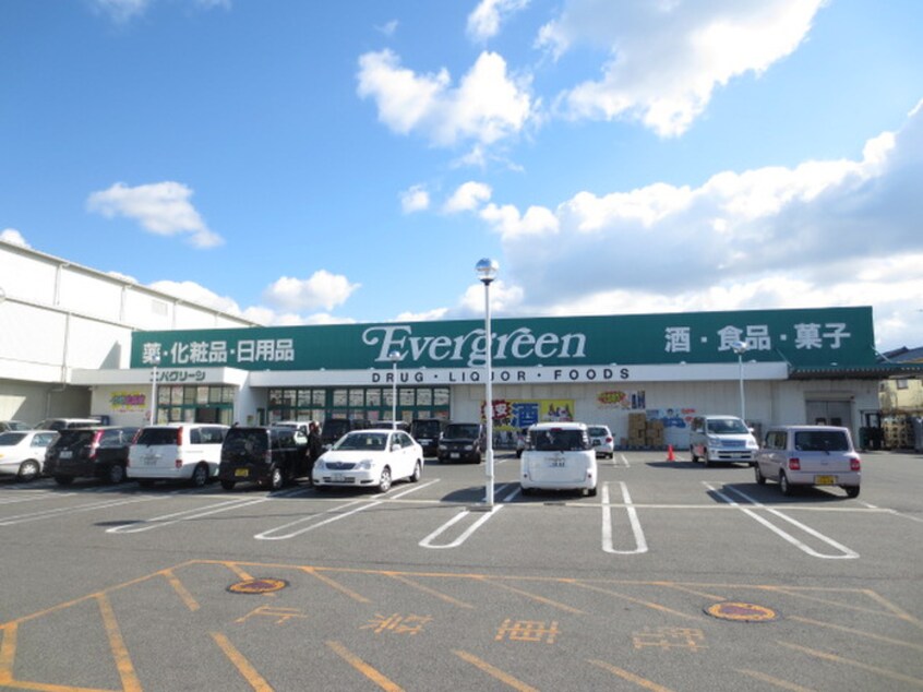 エバグリーン(スーパー)まで394m ソレイユ貝塚