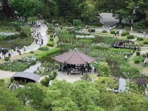 城北公園(公園)まで230m プレシャス中宮