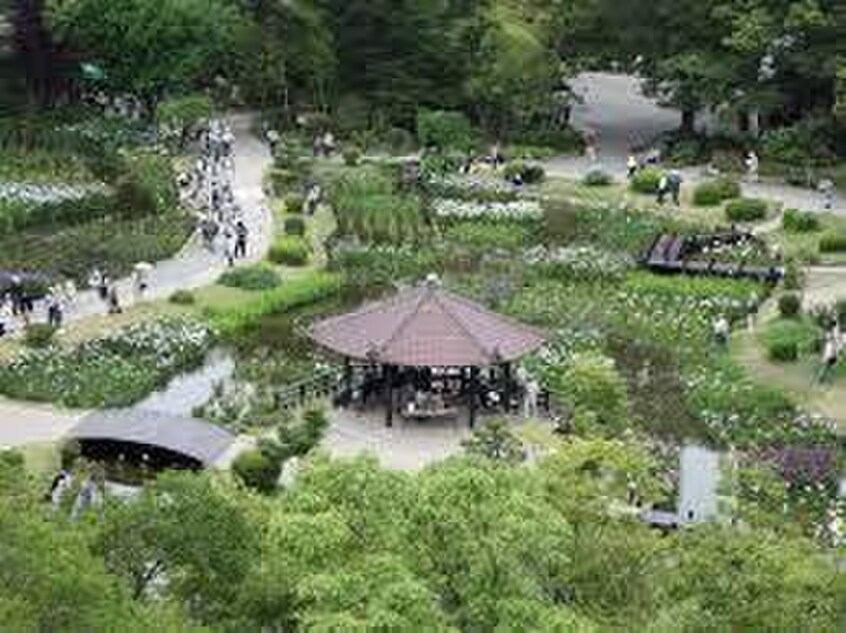 城北公園(公園)まで230m プレシャス中宮
