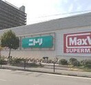 ニトリ(電気量販店/ホームセンター)まで1000m FLAFFLE平野本町