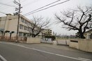 堺市立三国ヶ丘中学校(中学校/中等教育学校)まで560m メゾネットさくら