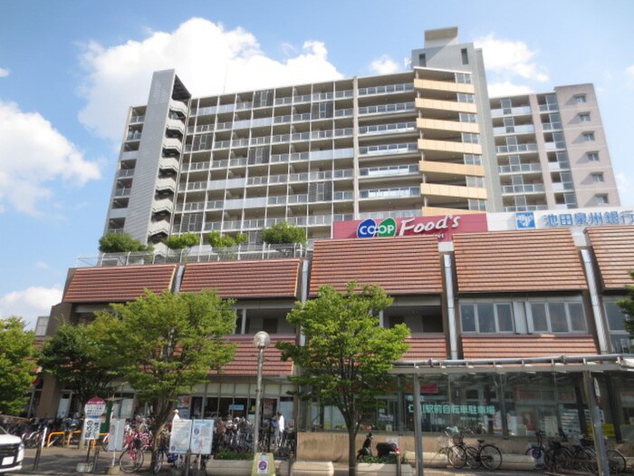 コープ(スーパー)まで250m Ms court 西宮仁川町