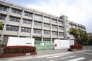 加納小学校(小学校)まで1100m 白房荘１号館