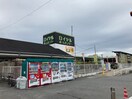 ロイヤルホームセンター(電気量販店/ホームセンター)まで450m 南風薫るグレースエリゼ