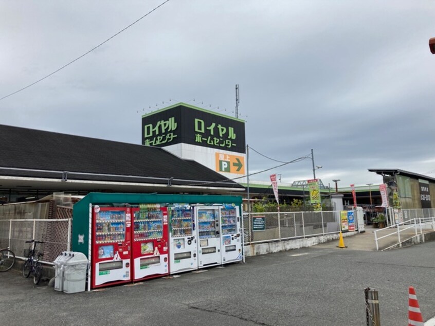 ロイヤルホームセンター(電気量販店/ホームセンター)まで450m 南風薫るグレースエリゼ