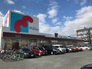 万代新森店(スーパー)まで550m パークロイヤル