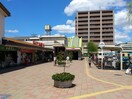 金剛駅(役所)まで1600m グランモデッサＡ