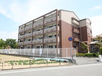 カサベルデタツミ