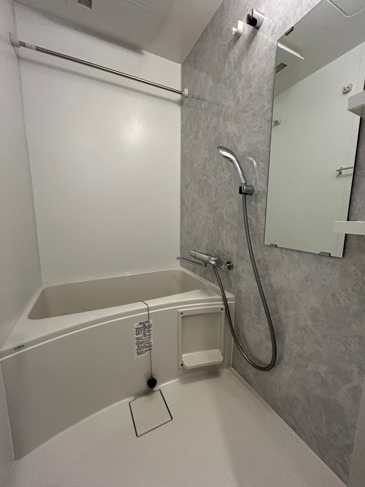 バス／シャワールーム等 S-RESIDENCE難波大国町Tres