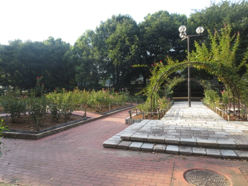 大井戸公園(公園)まで300m パレロワイヤル武庫之荘