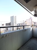 ベランダ・バルコニー タ－トルほまれ