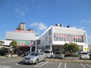 大日ベアーズ店(ショッピングセンター/アウトレットモール)まで2400m ヴァン　ヴェ－ル