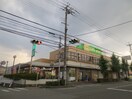 サーバー(ドラッグストア)まで140m 坂西レジデンスⅡ