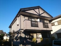 トレジャ－バレイ