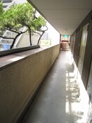 エントランス部分 セントラルハイツ