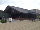 スターバックスコーヒー 堺フェニックス通店(カフェ)まで290m サンライズ泉