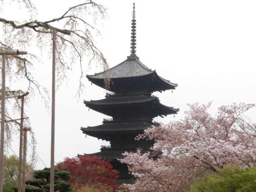 東寺(公園)まで900m エクセルワンズ八条