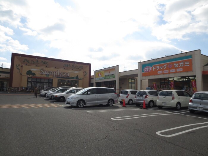 ドラックセガミ(ドラッグストア)まで498m ドミ－ル・アオイ