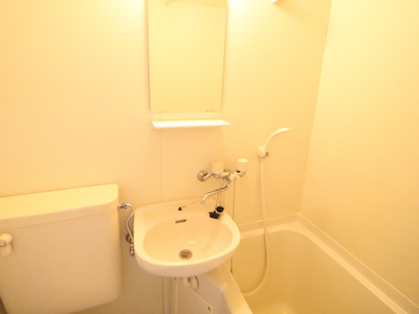 洗面 メゾンドフェニックス