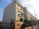 城東中学校(中学校/中等教育学校)まで510m カインド諏訪