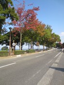 周辺環境 COCOハウス