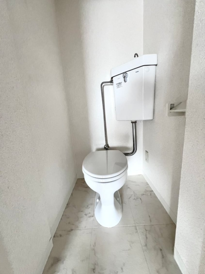 トイレ ソリッソ大物