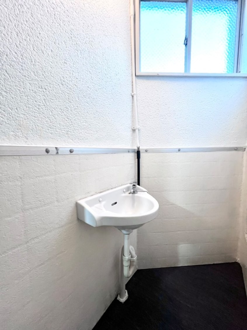 洗面 ソリッソ大物