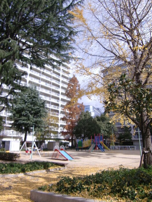 北大江公園(公園)まで100m アスヴェル天満橋(203)