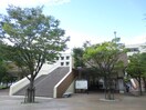 神戸大学　国際文化学部(大学/短大/専門学校)まで985m 寺口荘