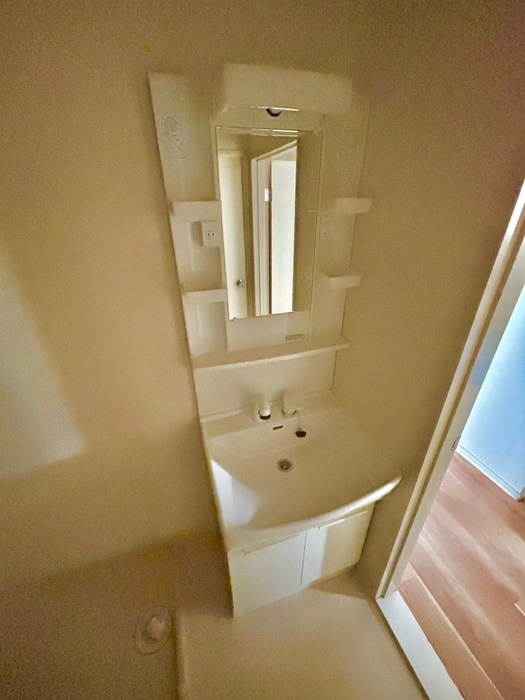 洗面 ロイヤルウイングＢ棟