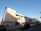 イオン(ショッピングセンター/アウトレットモール)まで423m プティハイム菅原