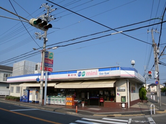 コープミニ太寺店(スーパー)まで500m 太寺パークハイツ