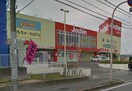 ジョーシン(電気量販店/ホームセンター)まで1450m グリーンハイツ北野田