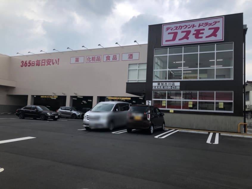 ドラッグストアコスモス 高畑店(ドラッグストア)まで1100m クレドール加古川