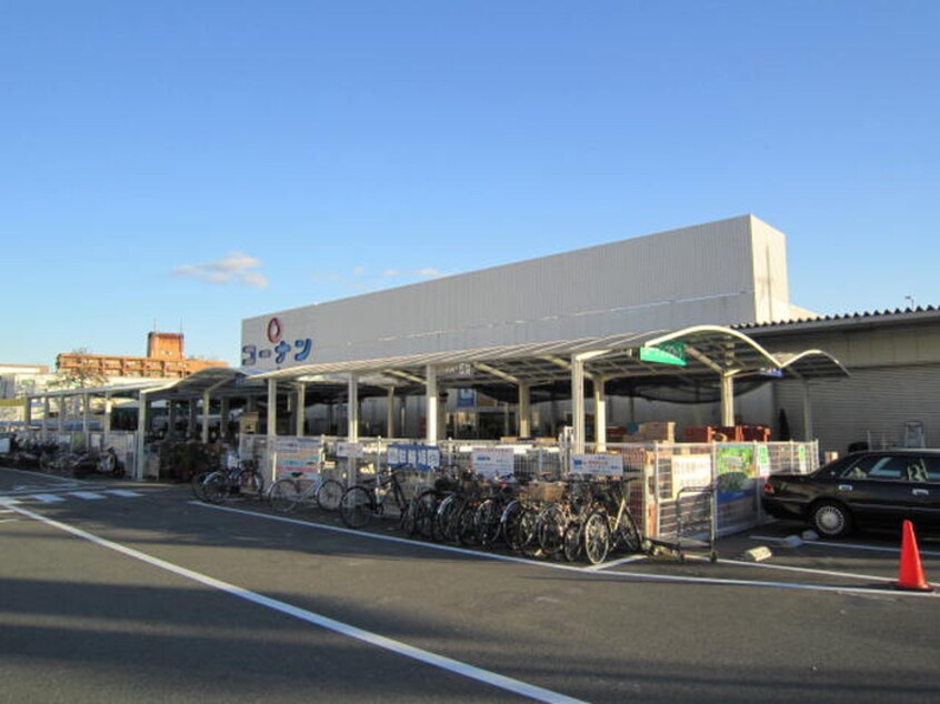 コーナン(電気量販店/ホームセンター)まで340m アルバロ－ザ京都