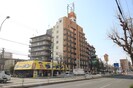 グロー平野の外観
