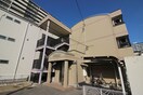 外観写真 パインアベニュ－