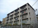 マンション紫明園の外観