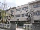 上甲子園中学校(中学校/中等教育学校)まで990m 岩橋マンション