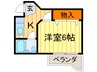 カレリアマンション 1Kの間取り