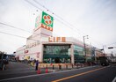 ライフ(スーパー)まで879m サニーコート浅井