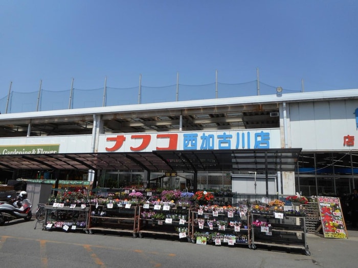 ナフコ(電気量販店/ホームセンター)まで1000m シャルレックスA棟