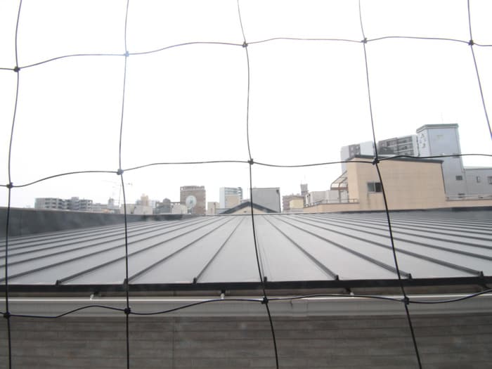 室内からの展望 イオ・ネクスト菅原